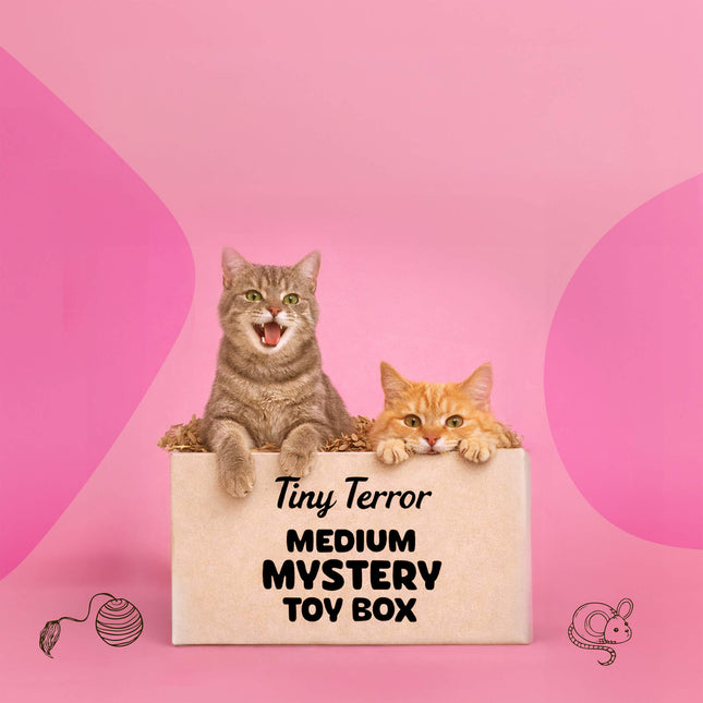 Tiny Terror Medium Mystery Cat Toy Box