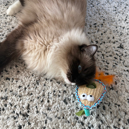 All For Paws Whisker Fiesta Catnip Ball – Avocado