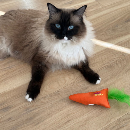 Mad Cat Kitty Carrot Plush Cat Toy with Silvervine Catnip Blend