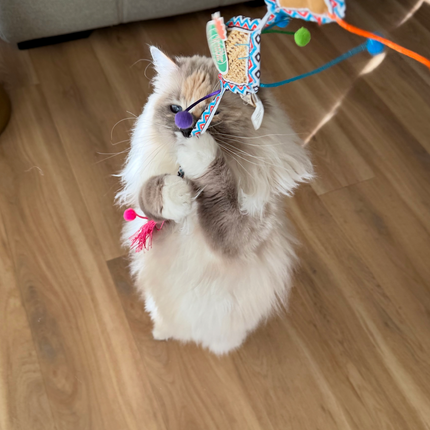 All For Paws Whisker Fiesta Wand Kite Cat Teaser Toy