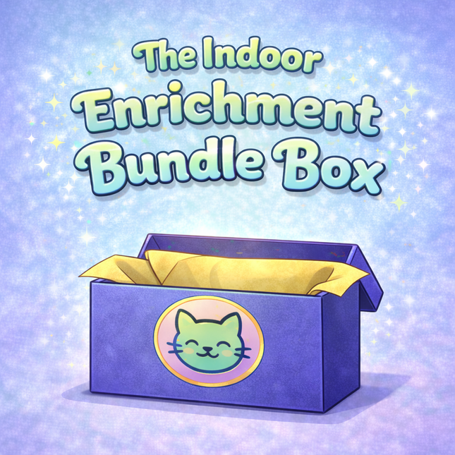 The Indoor Enrichment Bundle Box