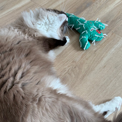 Mad Cat Big Cactus Kicker Plush Cat Toy with Catnip