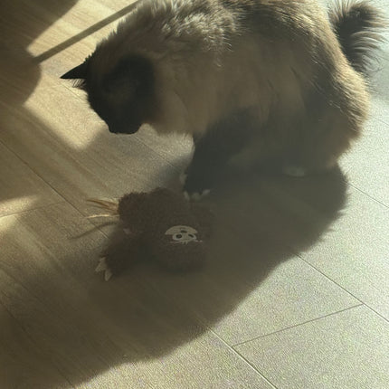Mad Cat Plush Sloth Kicker Cat Toy with Feather Tail
