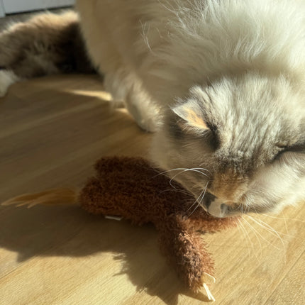 Mad Cat Plush Sloth Kicker Cat Toy with Feather Tail