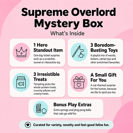 Overlord Mystery Box