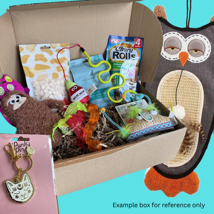 Supreme Overlord Mystery Cat Box (Toys, Treats + Gift)