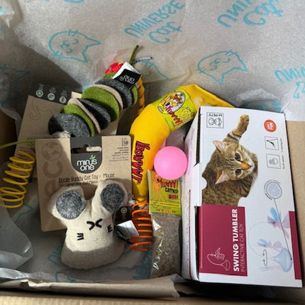 Tiny Terror Mystery Toy Box