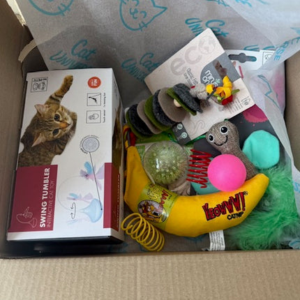 Tiny Terror Mystery Toy Box