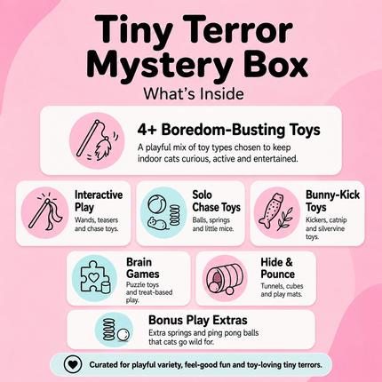 Tiny Terror Mystery Toy Box