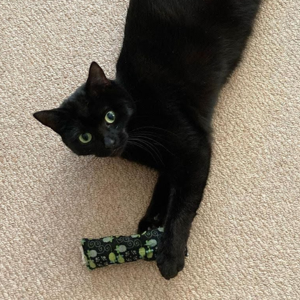 Meow Avenue Catnip Kicker