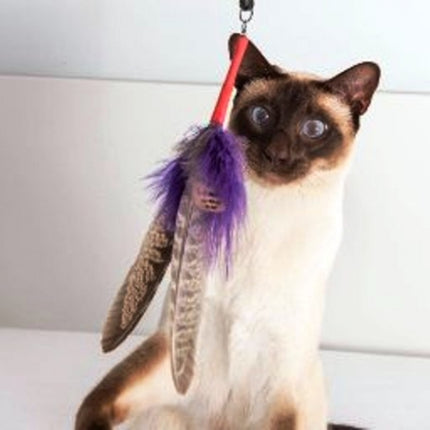 PurrSuit Interchangeable 100cm Long Cat Wand with Spinning Feather