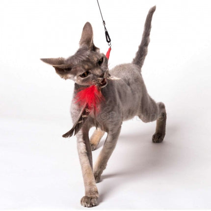 PurrSuit Interchangeable 100cm Long Cat Wand with Spinning Feather