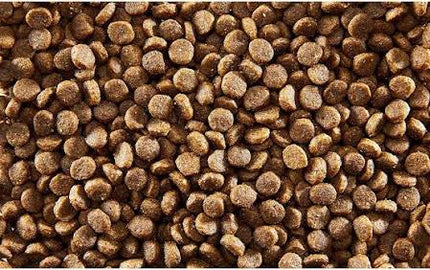 Applaws Adult Grain-Free Dry Cat Food Chicken & Duck 2kg