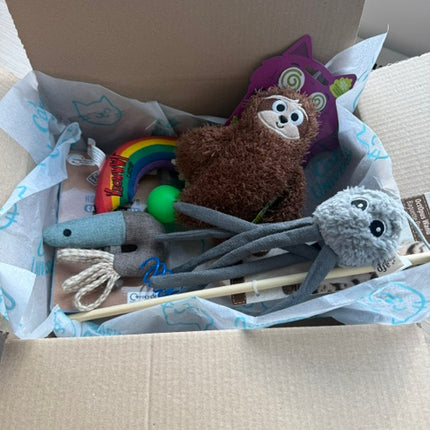 Tiny Terror Mystery Toy Box